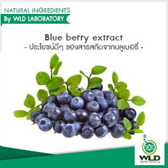 Blue berry extract