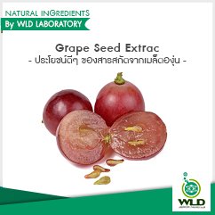 Grape Seed Extrac