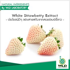 White Strawberry Extract