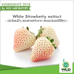 White Strawberry extract