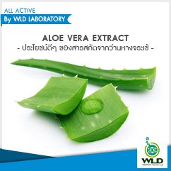 aloe vera extract