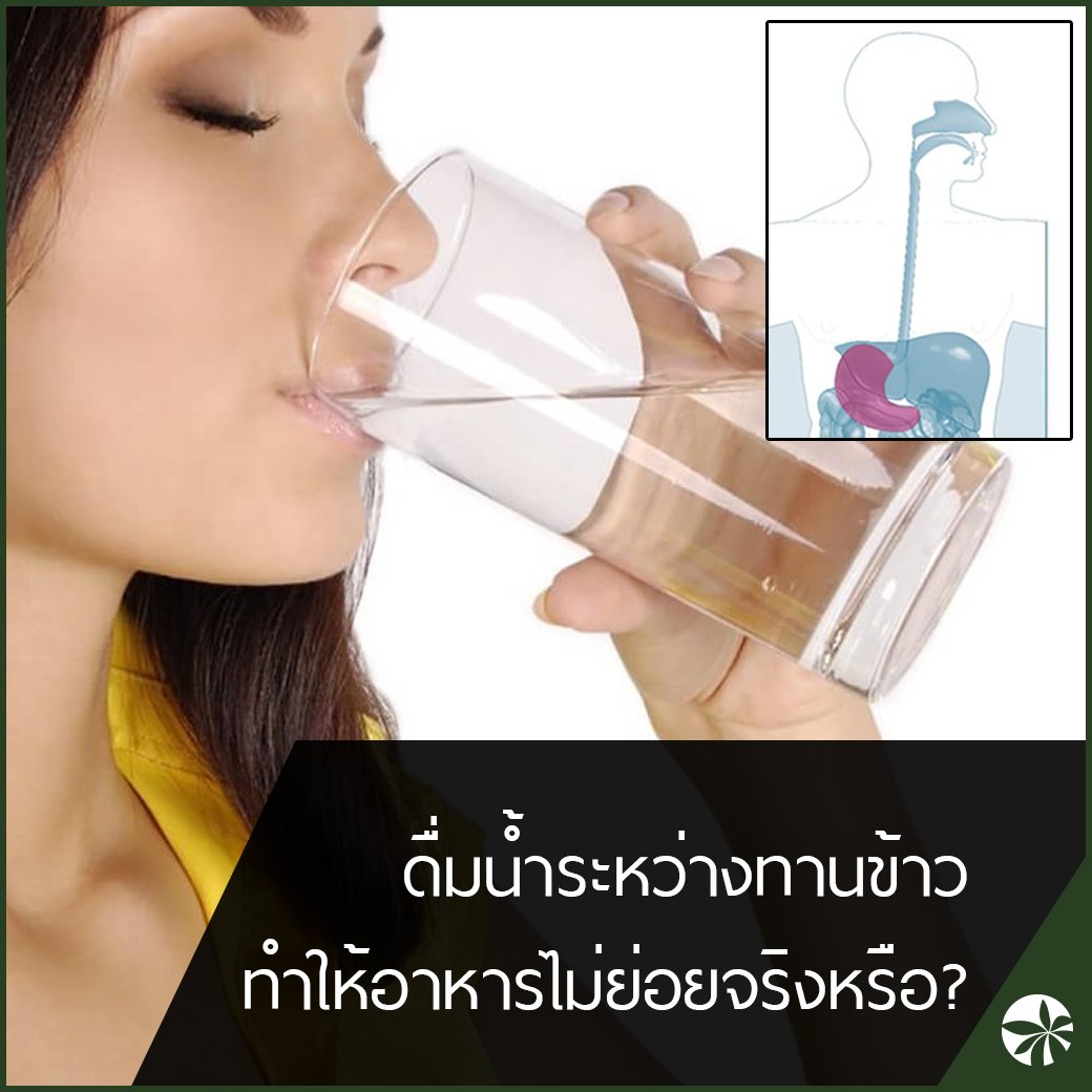 ดื่มน้ำระหว่างทานข้าว ทำให้อาหารไม่ย่อยจริงหรือไม่? ดื่มน้ำระหว่างทานข้าว ทำให้อาหารไม่ย่อยจริงหรือไม่?