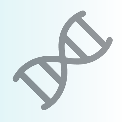 gene หรือกรรมพันธ์มีผลต่อปริมาณเม็ดสีผิวที่ต่างกันในแต่ละคน gene หรือกรรมพันธ์มีผลต่อปริมาณเม็ดสีผิวที่ต่างกันในแต่ละคน