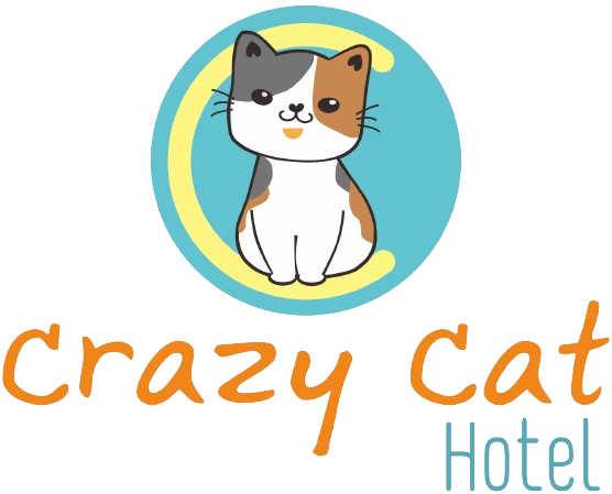 โรงแรมแมวฝั่งธน crazy cat hotel