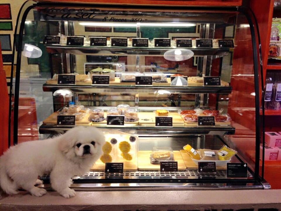 ด็อกเกอรี่ คาเฟ่ เพ็ท เดลี่ (Dogkery Cafe Pet Deli) สวรรค์ของคนรักน้องหมา!!