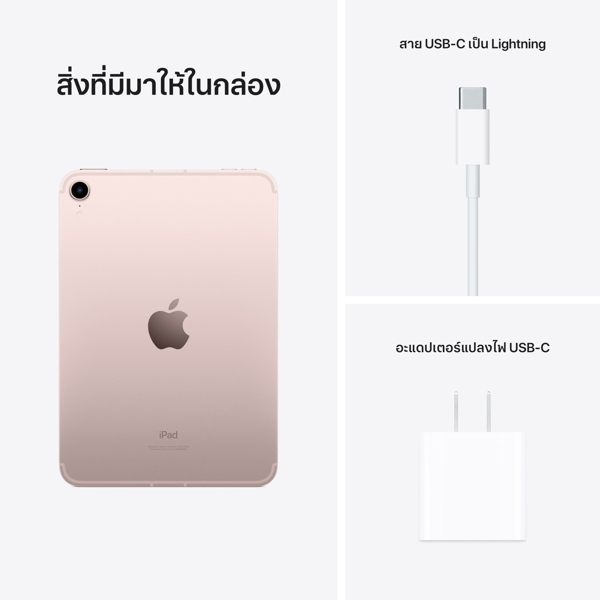iPad mini 6 (2021) Wi-Fi + Cellular 256GB Pink iPad mini 6 (2021) Wi-Fi + Cellular 256GB Pink