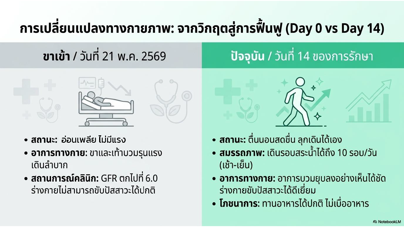 สไลด์ที่ 4: การเปลี่ยนแปลงทางกายภาพจากวิกฤตสู่การฟื้นฟู Day 0 vs Day 14 ขาเข้าวันที่ 21 พ.ค. 2569 สถานะอ่อนเพลียไม่มีแรง อาการทางกายขาและเท้าบวมรุนแรงเดินลำบาก สถานการณ์คลินิก GFR ตกไปที่ 6.0 ร่างกายไม่สามารถขับปัสสาวะได้ปกติ ปัจจุบันวันที่ 14 ของการรักษา สถานะตื่นนอนสดชื่นลุกเดินได้เอง สมรรถภาพเดินรอบสระน้ำได้ถึง 10 รอบต่อวันทั้งเช้าและเย็น อาการทางกายอาการบวมยุบลงอย่างเห็นได้ชัดร่างกายขับปัสสาวะได้ดีเยี่ยม โภชนาการทานอาหารได้ปกติไม่เบื่ออาหาร