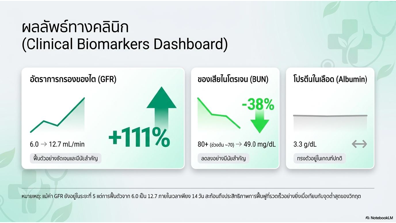 สไลด์ที่ 5: ผลลัพธ์ทางคลินิก Clinical Biomarkers Dashboard แสดงตัวชี้วัด 3 ด้าน อัตราการกรองของไต GFR เพิ่มจาก 6.0 เป็น 12.7 mL/min เพิ่มขึ้น 111 เปอร์เซ็นต์ฟื้นตัวอย่างชัดเจนและมีนัยสำคัญ ของเสียในโตรเจน BUN ลดจาก 80 ช่วงต้นประมาณ 70 เหลือ 49.0 mg/dL ลดลงอย่างมีนัยสำคัญ 38 เปอร์เซ็นต์ โปรตีนในเลือด Albumin 3.3 g/dL ทรงตัวอยู่ในเกณฑ์ปกติ หมายเหตุแม้ค่า GFR ยังอยู่ในระยะที่ 5 แต่การฟื้นตัวจาก 6.0 เป็น 12.7 ภายในเวลาเพียง 14 วันสะท้อนถึงประสิทธิภาพการฟื้นฟูที่รวดเร็วอย่างยิ่งเมื่อเทียบกับจุดต่ำสุดของวิกฤต