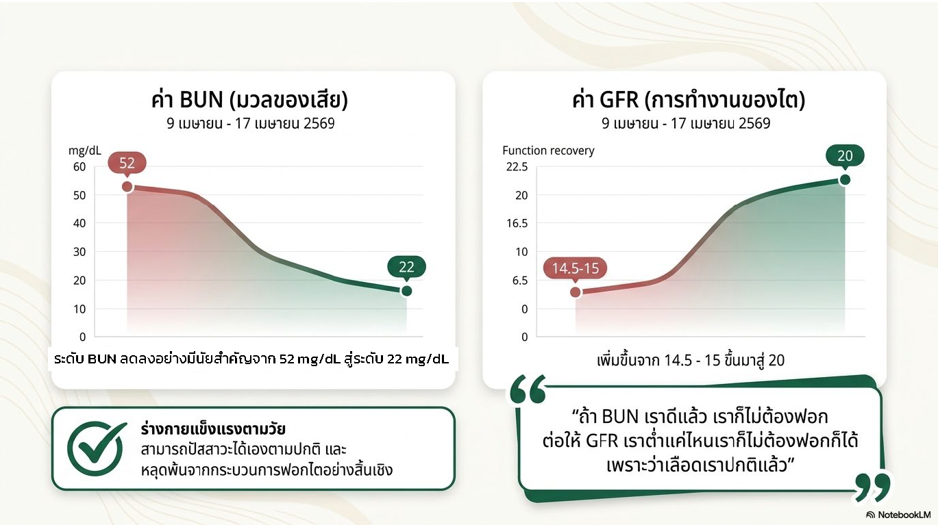 สไลด์ที่ 4: กราฟแสดงค่า BUN ลดจาก 52 สู่ 22 mg/dL และค่า GFR เพิ่มจาก 14.5-15 เป็น 20 ระหว่างวันที่ 9-17 เมษายน 2569 ร่างกายแข็งแรงตามวัย ปัสสาวะได้เองตามปกติ หลุดพ้นกระบวนการฟอกไต
