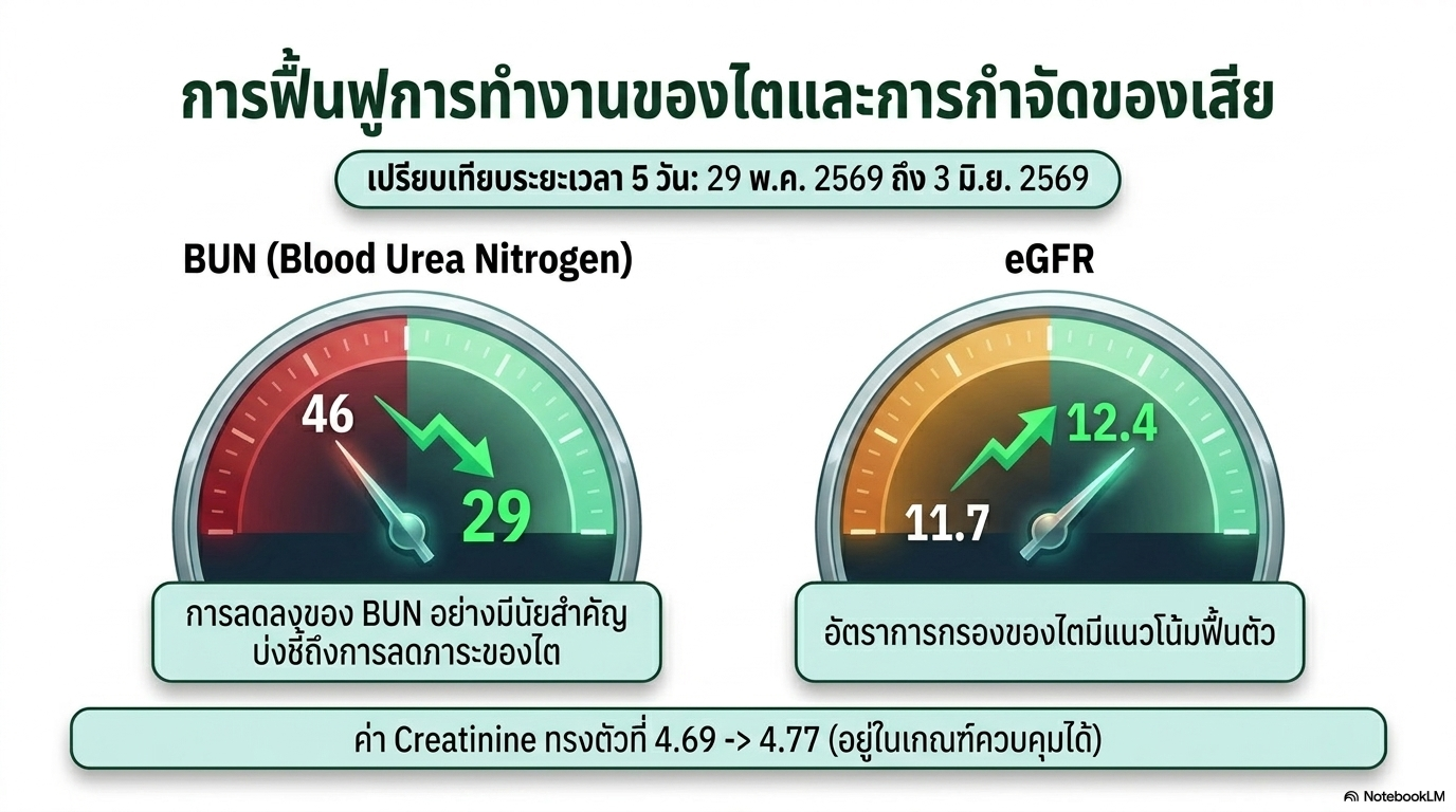 สไลด์ที่ 4: การฟื้นฟูการทำงานของไตและการกำจัดของเสีย เปรียบเทียบระยะเวลา 5 วัน ตั้งแต่ 29 พฤษภาคม ถึง 3 มิถุนายน 2569 ค่า BUN Blood Urea Nitrogen ลดลงจาก 46 เป็น 29 การลดลงอย่างมีนัยสำคัญบ่งชี้ถึงการลดภาระของไต ค่า eGFR เพิ่มขึ้นจาก 11.7 เป็น 12.4 อัตราการกรองของไตมีแนวโน้มฟื้นตัว ค่า Creatinine ทรงตัวที่ 4.69 ถึง 4.77 อยู่ในเกณฑ์ควบคุมได้