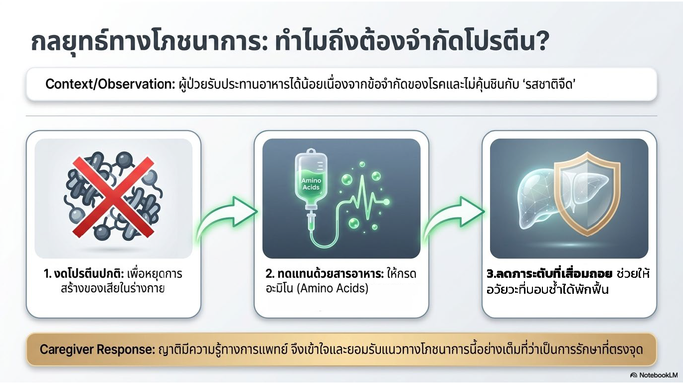 สไลด์ที่ 6: กลยุทธ์ทางโภชนาการ ทำไมถึงต้องจำกัดโปรตีน Context Observation ผู้ป่วยรับประทานอาหารได้น้อยเนื่องจากข้อจำกัดของโรคและไม่คุ้นชินกับรสชาติจืด กระบวนการ 3 ขั้นตอน ขั้นที่ 1 งดโปรตีนปกติเพื่อหยุดการสร้างของเสียในร่างกาย ขั้นที่ 2 ทดแทนด้วยสารอาหาร ให้กรดอะมิโน Amino Acids ขั้นที่ 3 ลดภาระตับที่เสื่อมถอยช่วยให้อวัยวะที่บอบช้ำได้พักฟื้น Caregiver Response ญาติมีความรู้ทางการแพทย์จึงเข้าใจและยอมรับแนวทางโภชนาการนี้อย่างเต็มที่ว่าเป็นการรักษาที่ตรงจุด