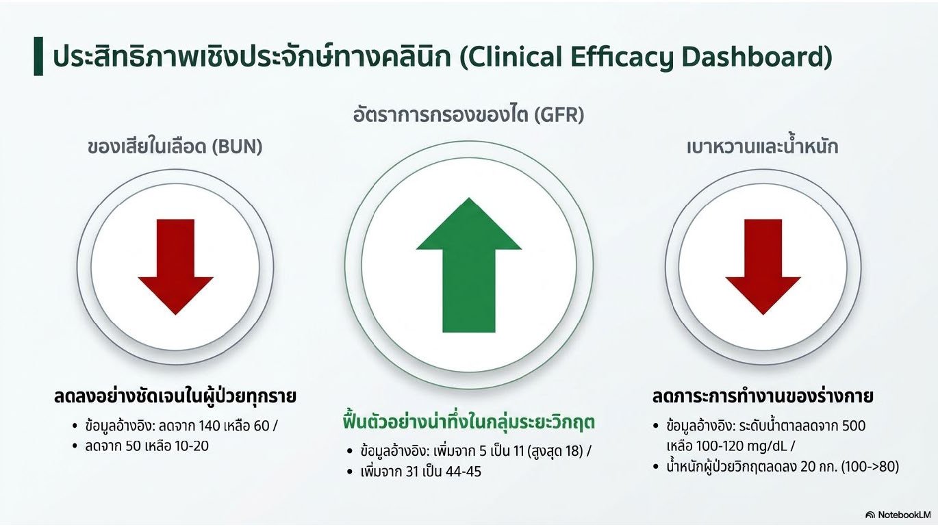 สไลด์ที่ 4: ประสิทธิภาพเชิงประจักษ์ทางคลินิก Clinical Efficacy Dashboard แสดงผลลัพธ์ 3 ด้าน ค่า BUN ลดลงอย่างชัดเจนในผู้ป่วยทุกราย จาก 140 เหลือ 60 และจาก 50 เหลือ 10-20 อัตราการกรองของไต GFR ฟื้นตัวอย่างน่าทึ่งในกลุ่มระยะวิกฤต จาก 5 เป็น 11 สูงสุด 18 และจาก 31 เป็น 44-45 การควบคุมเบาหวานและน้ำหนัก น้ำตาลลดจาก 500 เหลือ 100-120 mg/dL น้ำหนักลด 20 กิโลกรัม