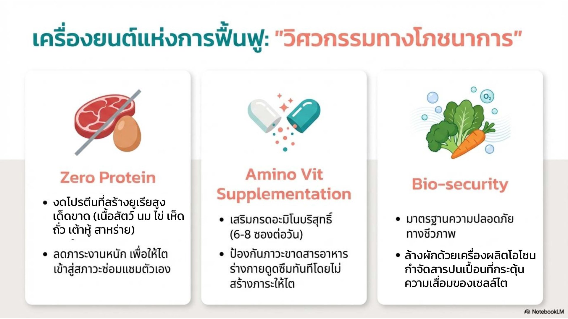 วิศวกรรมทางโภชนาการ