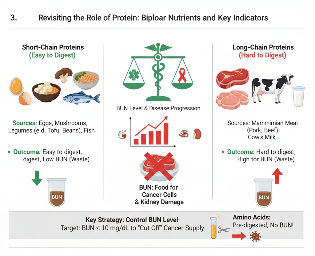 แผนภาพโปรตีน
