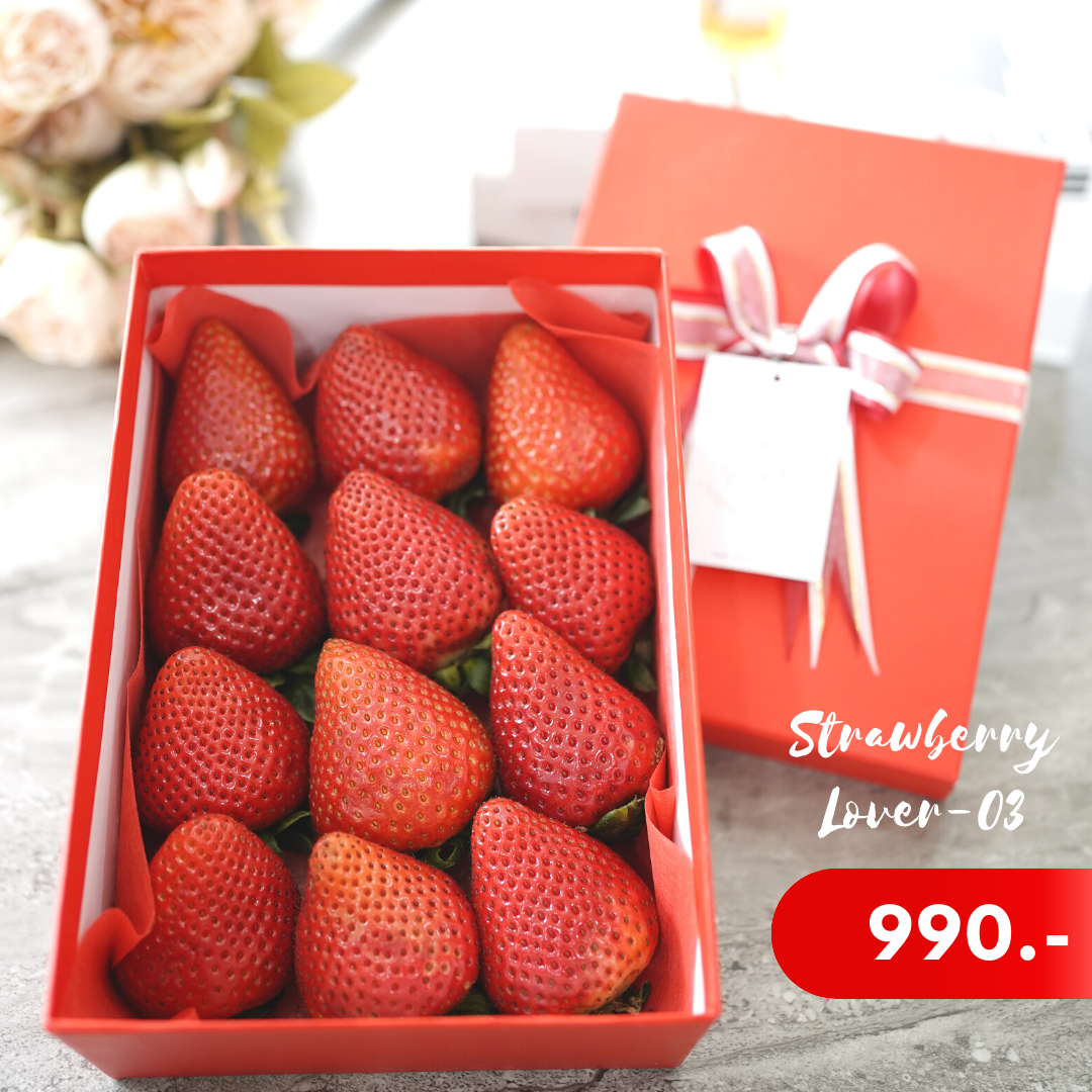 Strawberry Lover 03