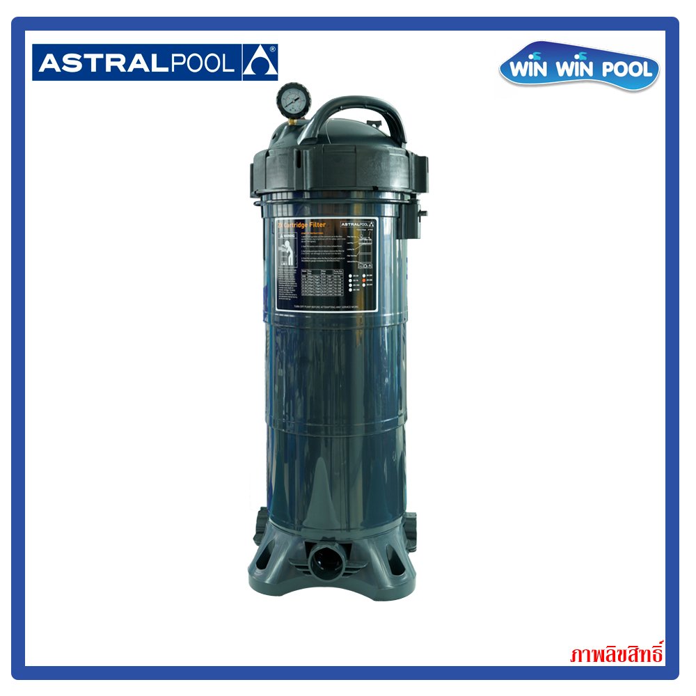 ZX 250 Cartridge Filter, flow 30.9 m3/h