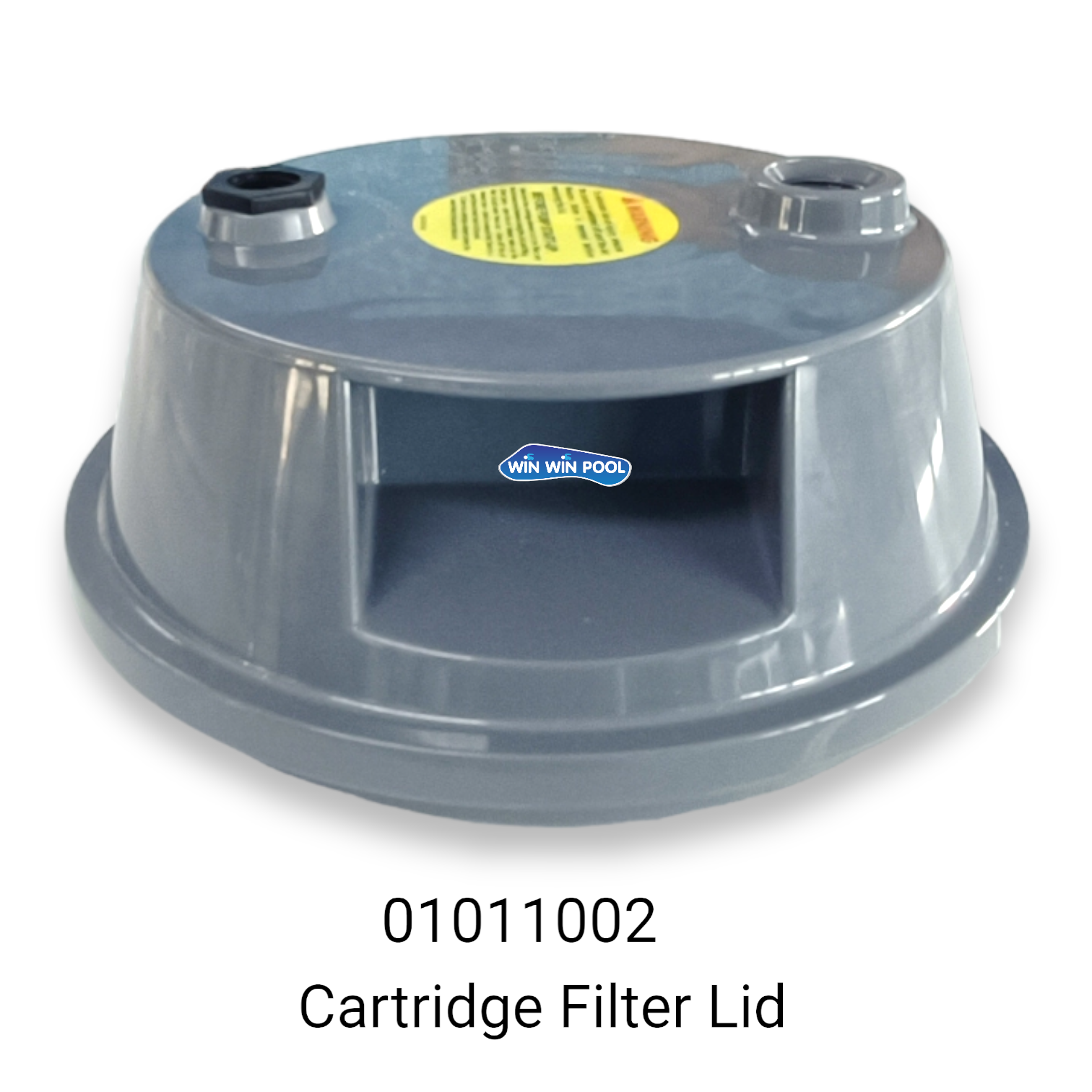 Cartridge Filter Lid for Emaux