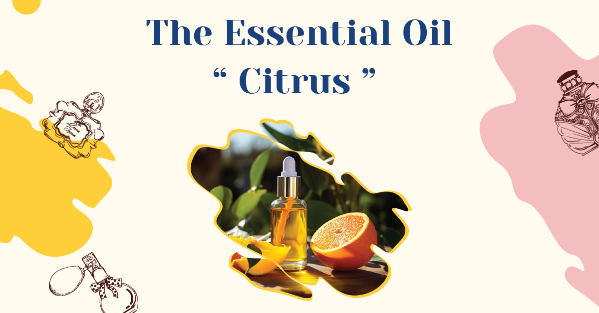 The Essential Oil - Citrus Family