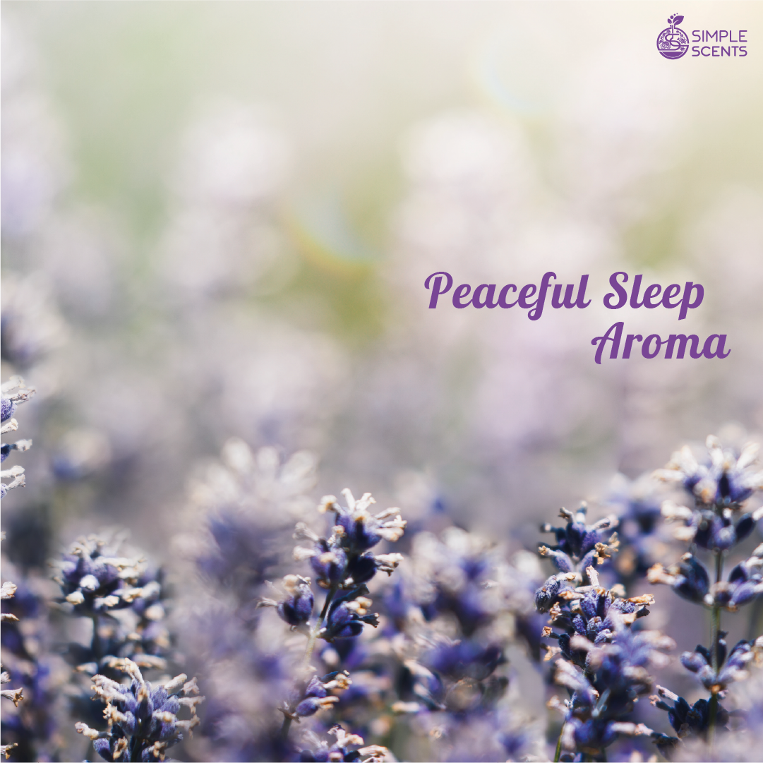 Peaceful Sleep Aroma Essential peaceful-sleep-aroma-essential