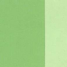 Holbein Oil Color Artist Grade : Compose Green
