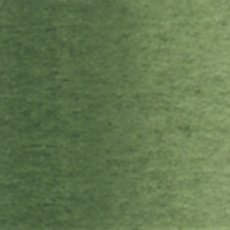 Holbein Watercolour Artist Grade : Green Grey