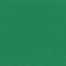 Gouache Holbein Watercolour 15ml / Emerald Green Nova