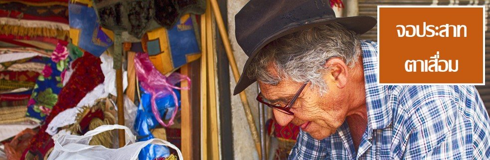 จุดรับภาพเสื่อม จุดรับภาพเสื่อม