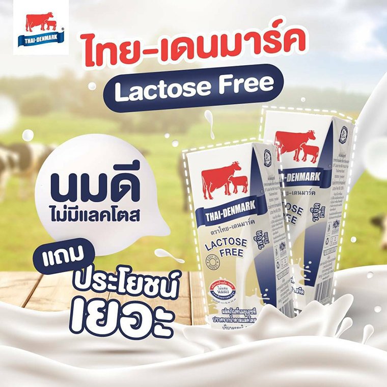 นมไทย-เดนมาร์ค Lactose Free