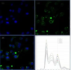 Advanced Hyperspectral Microscopy System for 3D Image Construction