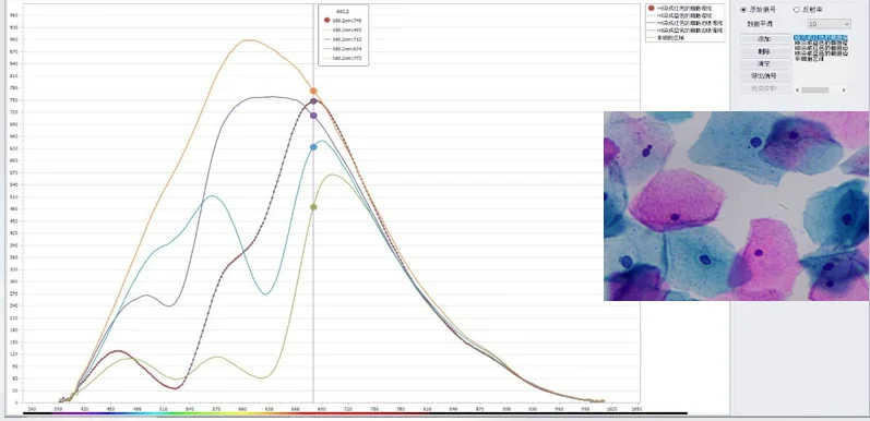 ตัวอย่างเซลล์ทางชีววิทยา - Cell Biology Samples Cytological Morphology