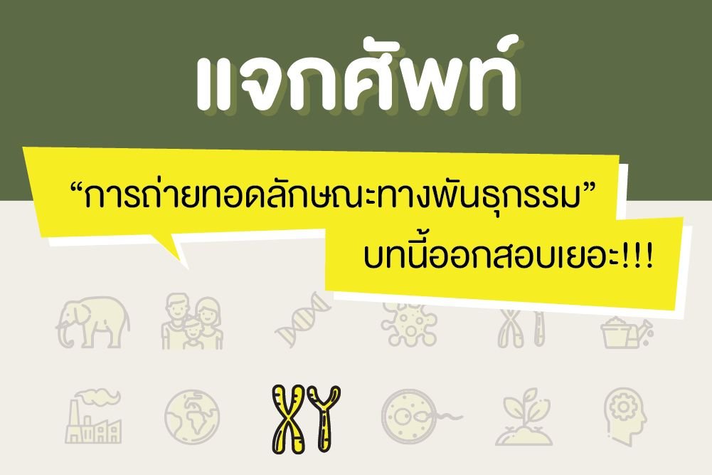 แจกศัพท์ “การถ่ายทอดลักษณะทางพันธุกรรม” บทนี้ออกสอบเยอะ!!!