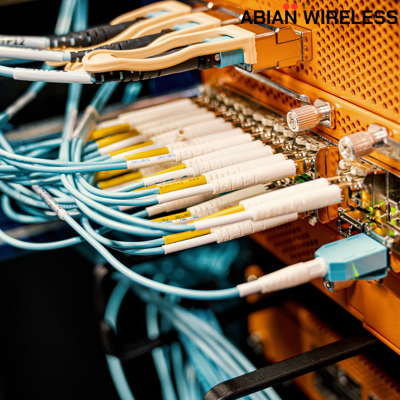 Network Equipment-1