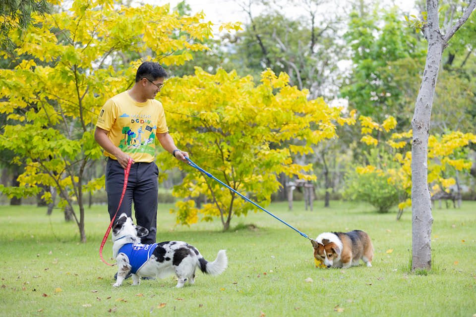 "เมเจอร์ ดีเวลลอปเม้นท์" ผนึก "กทม." ต่อยอด MAJOR PETSCAPE นำร่องสวนป่าเบญจกิติ