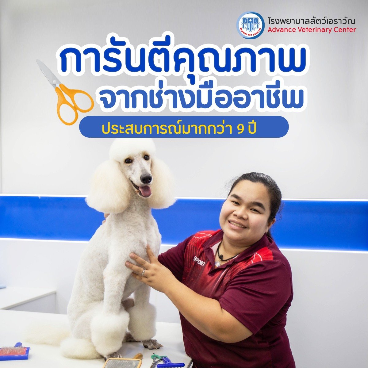 บริการอาบน้ำ-ตัดแต่งทรงขนโรงพยาบาลสัตว์เอราวัณ บริการอาบน้ำ-ตัดแต่งทรงขนโรงพยาบาลสัตว์เอราวัณ