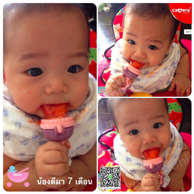 ตาช่าย/ซิลิโคนกัดผลไม้