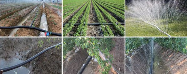 เทปน้ำพุ่ง เทปน้ำพุ่ง