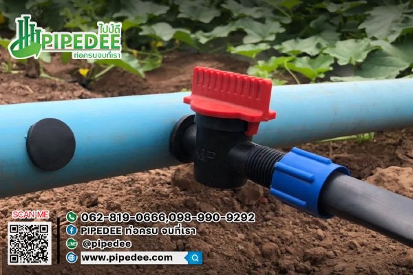 การต่อ_เทปน้ำหยดเข้ากับท่อpvc การต่อ_เทปน้ำหยดเข้ากับท่อpvc