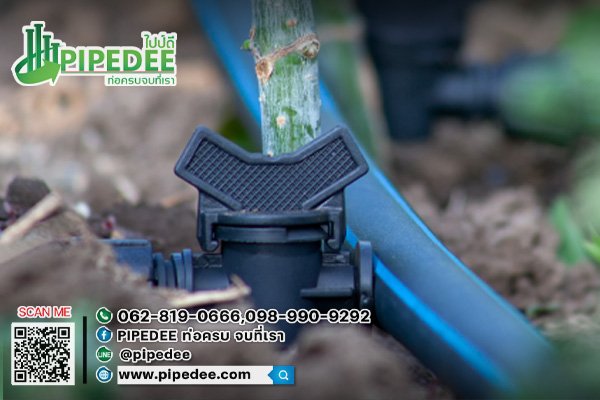 การต่อ เทปน้ำหยดเข้ากับท่อpe การต่อ เทปน้ำหยดเข้ากับท่อpe