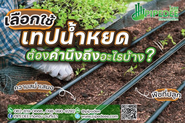 เทปน้ำหยด เทปน้ำหยด