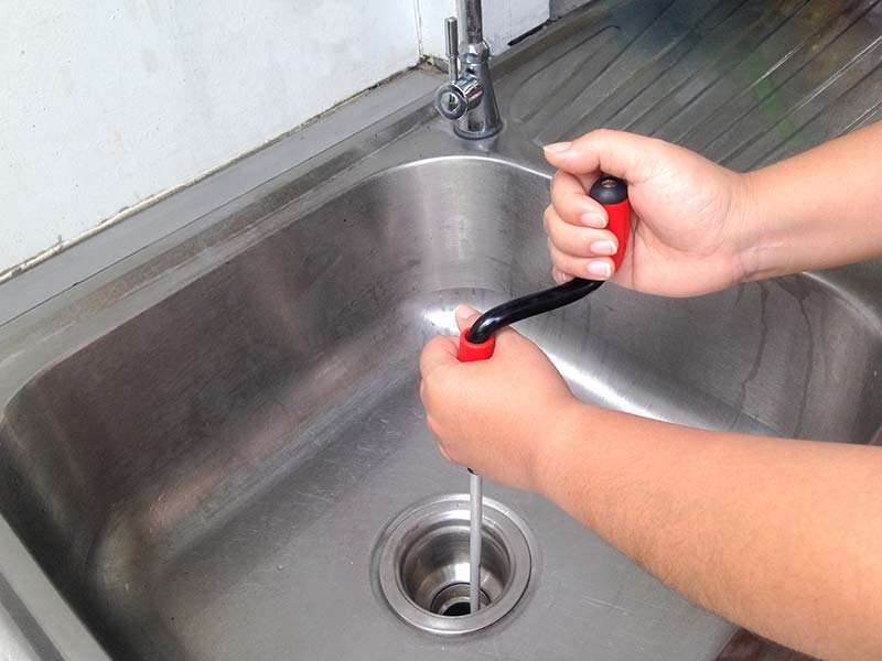 งูเหล็ก งูเหล็ก