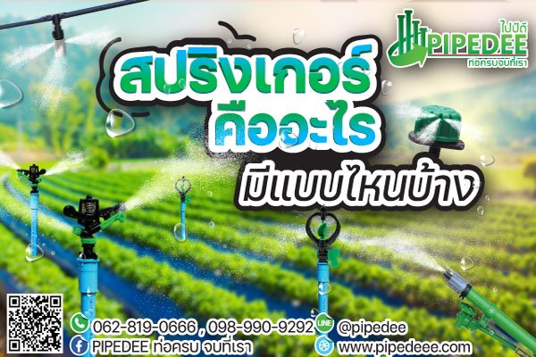 สปริงเกอร์ คืออะไร มีแบบไหนบ้าง สปริงเกอร์ คืออะไร มีแบบไหนบ้าง