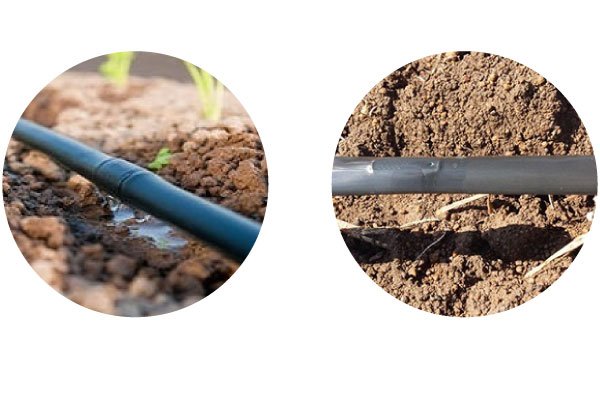 เทปน้ำหยด แบ่งได้เป็น 2 ชนิดเป็น เทปน้ำหยด แบ่งได้เป็น 2 ชนิดเป็น