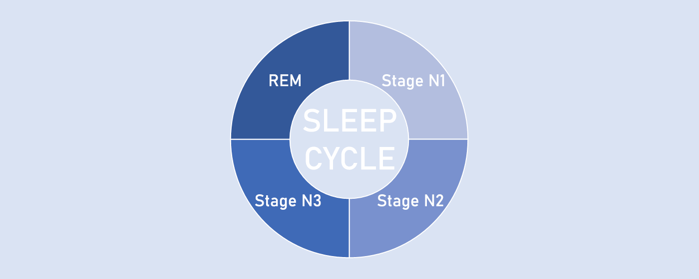 เบื้องหลังการนอนหลับ: วงจรการนอนหลับ และการหลับแบบ NREM