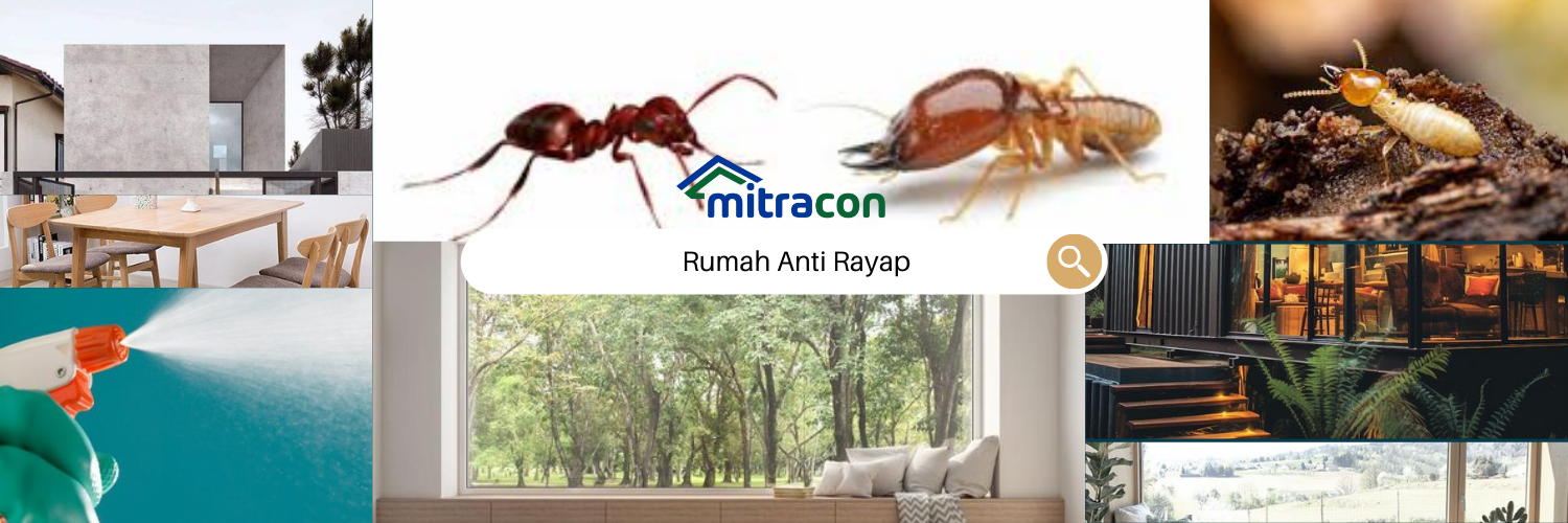 Rahasia Rumah Anti Rayap