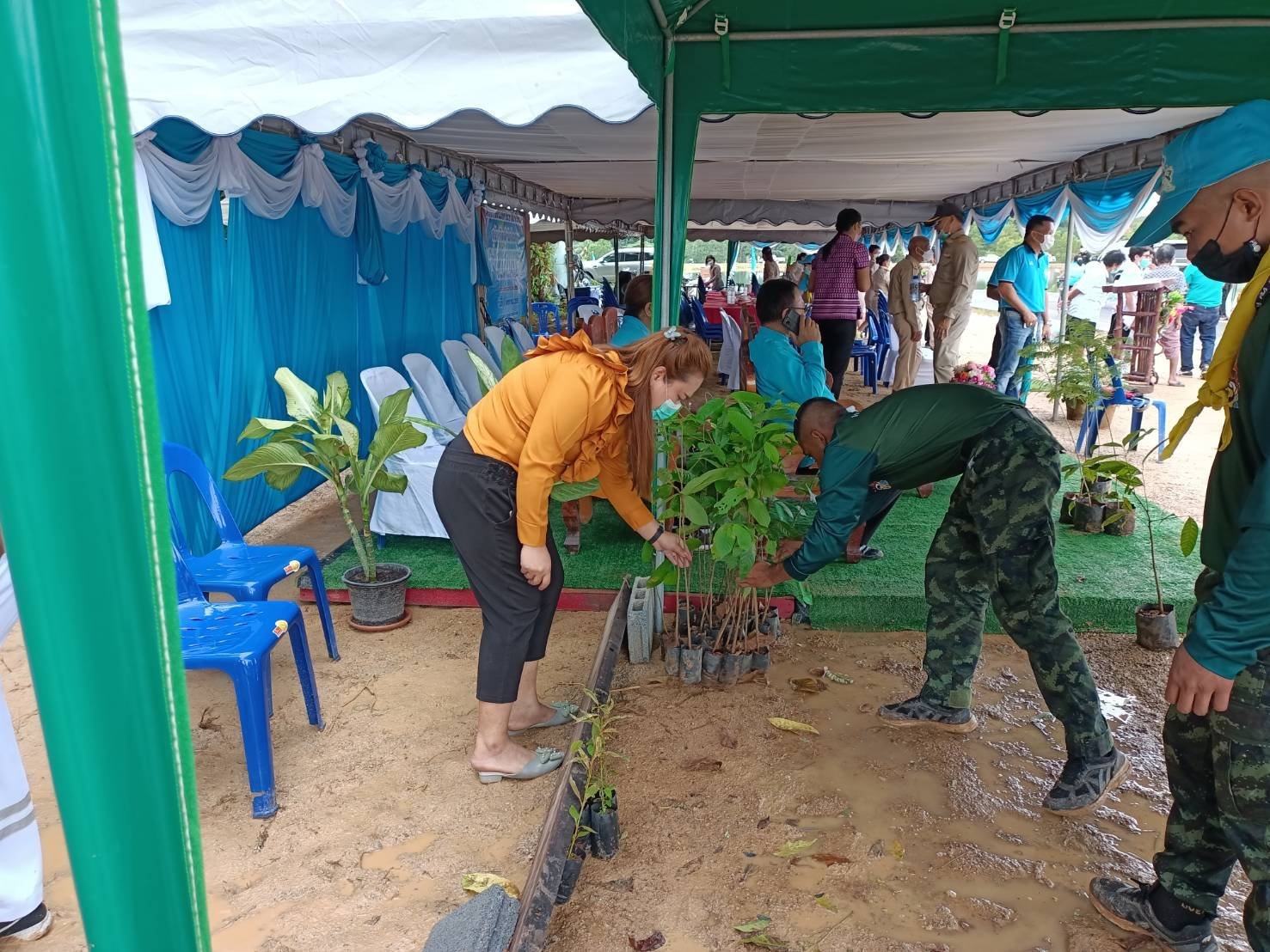 Tipmetha co.,ltd participated in “ Her Majesty Queen Sirikit The Queen Mother 90 million trees Reforestation project “ Tipmetha co.,ltd participated in “ Her Majesty Queen Sirikit The Queen Mother 90 million trees Reforestation project “