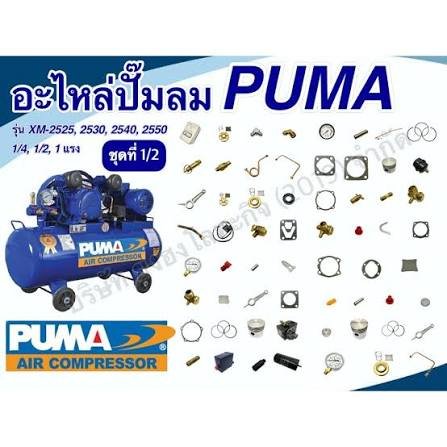 อะไหล่ปั๊มลม Puma