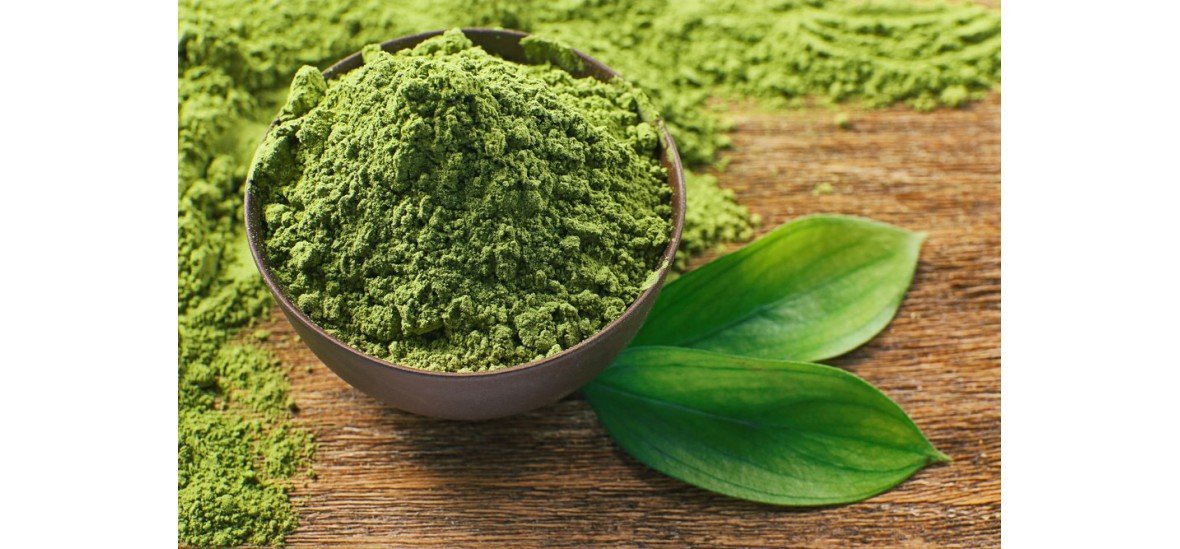 สารสกัดจากชาเขียว (Green Tea Extract)- 6 ประโยชน์ บำรุงผิวใส ยอดฮิตไปทั่วโลก