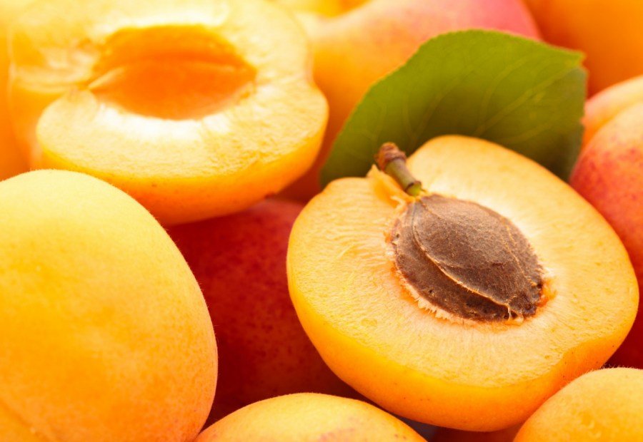 สารสกัดจากผลแอปริคอท(Apricot Extract)- สุดยอดเคล็ดลับ ออร่าพุ่ง ด้วยผลไม้เล็กๆที่สรรพคุณไม่ธรรมดา 