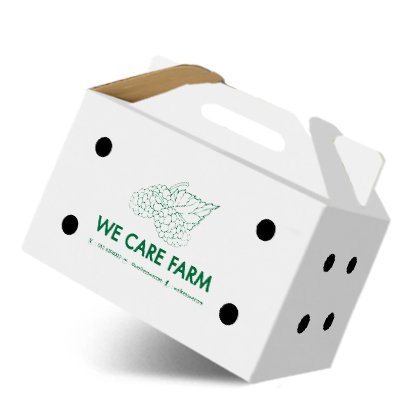 กล่องลูกหม่อน,กล่องผลไม้ Brand : We Care Farm