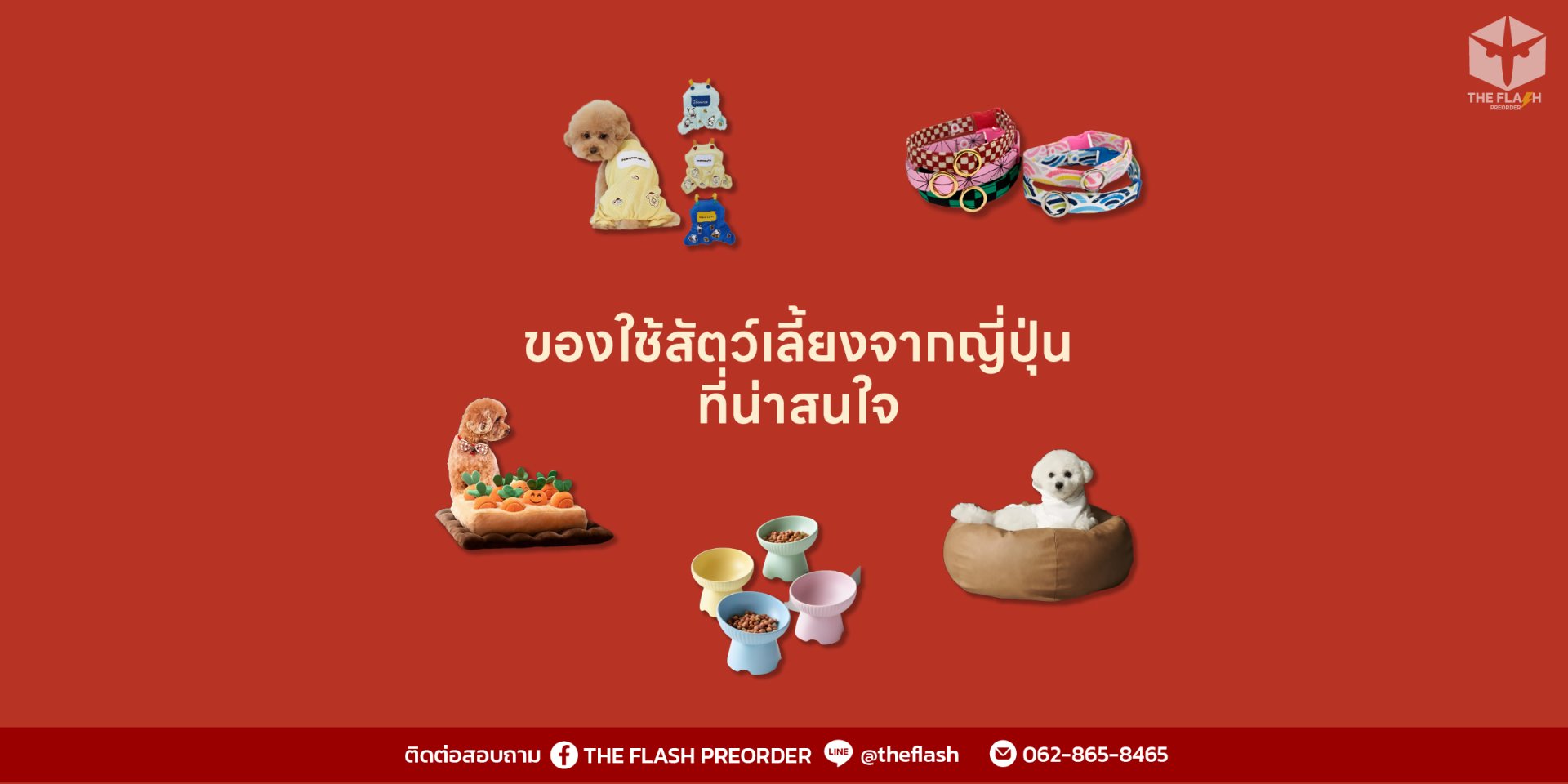 ของใช้สัตว์เลี้ยงจากญี่ปุ่น  ดีไซน์น่ารัก ฟังก์ชันครบ สำหรับทาสหมา-แมวสายพรีเมียม